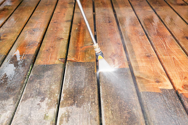 Best Animal Enclosure Cleaning  in Hamlin, WV